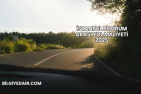 İstanbul Bodrum Arası Yol Maliyeti 2025