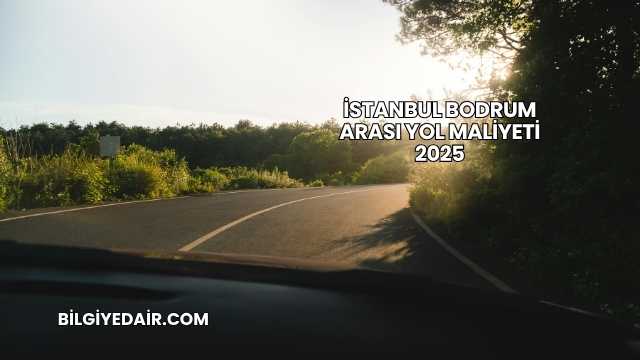 İstanbul Bodrum Arası Yol Maliyeti 2025