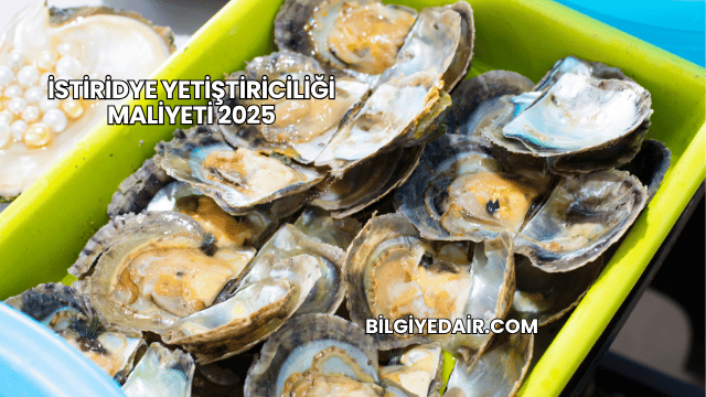 İstiridye Yetiştiriciliği Maliyeti 2025