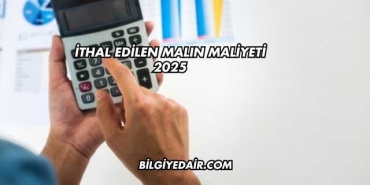 İthal Edilen Malın Maliyeti 2025