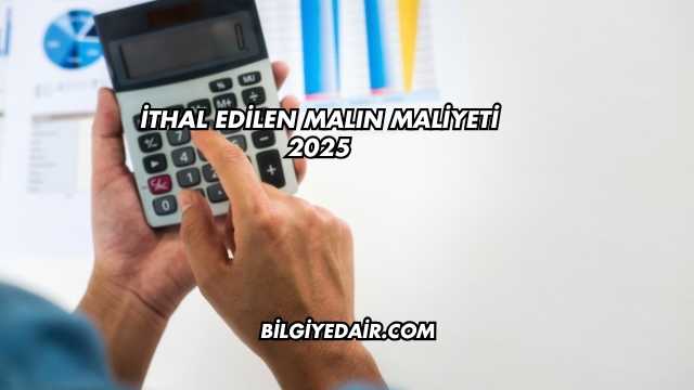 İthal Edilen Malın Maliyeti 2025