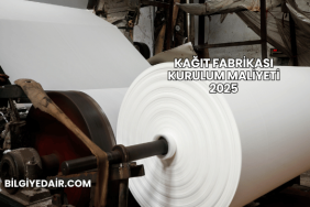Kağıt Fabrikası Kurulum Maliyeti 2025