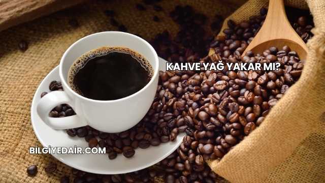 Kahve Yağ Yakar mı?