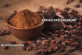Kakao Yağ Yakar mı?
