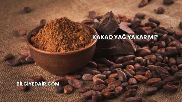 Kakao Yağ Yakar mı?