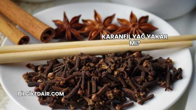 Karanfil Yağ Yakar mı?