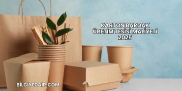 Karton Bardak Üretim Tesisi Maliyeti 2025