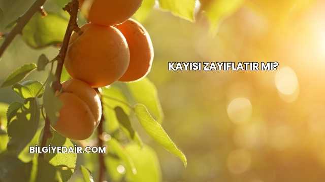 Kayısı Zayıflatır mı?