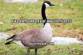 Kaz Entegre Tesisi Maliyeti 2025
