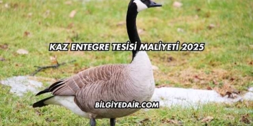 Kaz Entegre Tesisi Maliyeti 2025