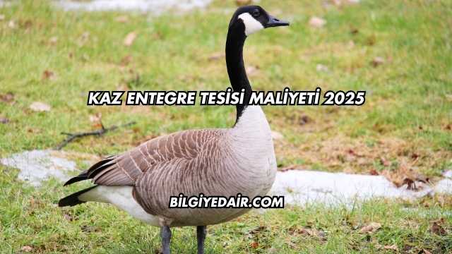 Kaz Entegre Tesisi Maliyeti 2025