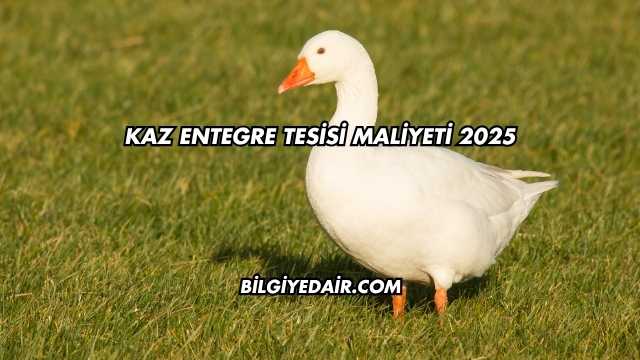 Kaz Entegre Tesisi Maliyeti 2025