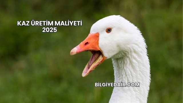 Kaz Üretim Maliyeti 2025