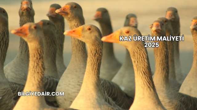 Kaz Üretim Maliyeti 2025