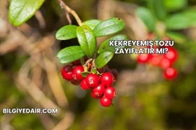 Kekreyemiş Tozu Zayıflatır mı?