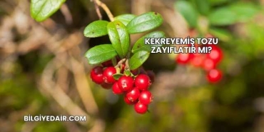 Kekreyemiş Tozu Zayıflatır mı?