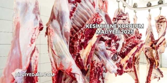 Kesimhane Kurulum Maliyeti 2025