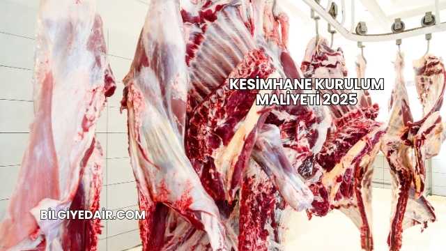 Kesimhane Kurulum Maliyeti 2025