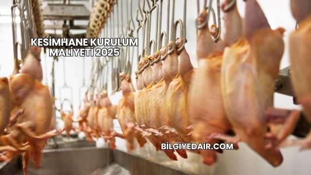 Kesimhane Kurulum Maliyeti 2025