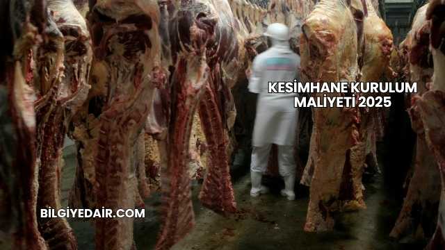 Kesimhane Kurulum Maliyeti 2025