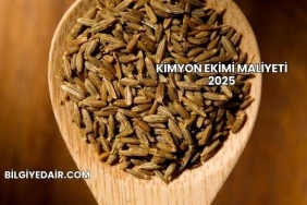 Kimyon Ekimi Maliyeti 2025