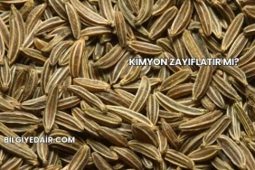 Kimyon Zayıflatır mı?