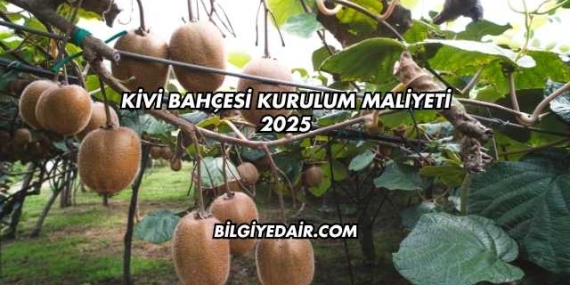 Kivi Bahçesi Kurulum Maliyeti 2025