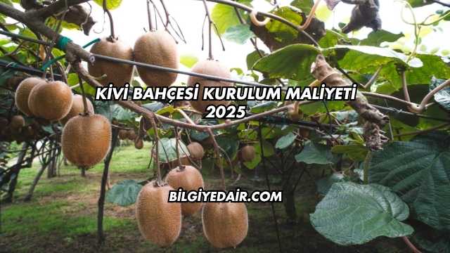 Kivi Bahçesi Kurulum Maliyeti 2025