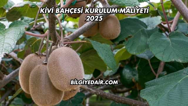 Kivi Bahçesi Kurulum Maliyeti 2025