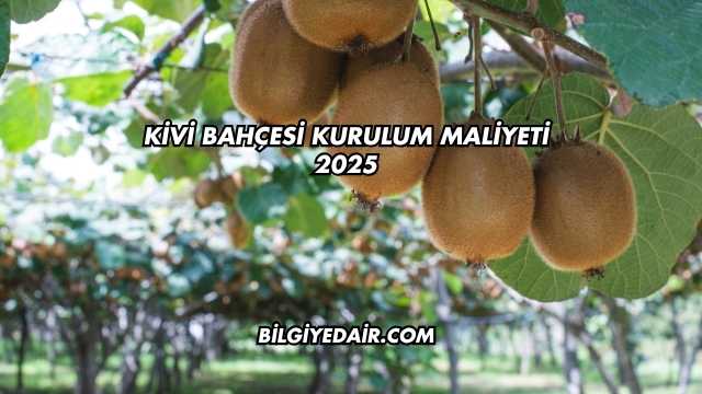 Kivi Bahçesi Kurulum Maliyeti 2025