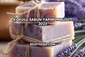 Kokulu Sabun Yapımı Maliyeti 2025