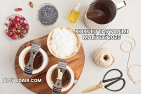 Kokulu Taş Yapımı Maliyeti 2025