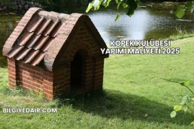 Köpek Kulübesi Yapımı Maliyeti 2025