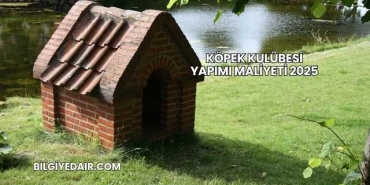 Köpek Kulübesi Yapımı Maliyeti 2025