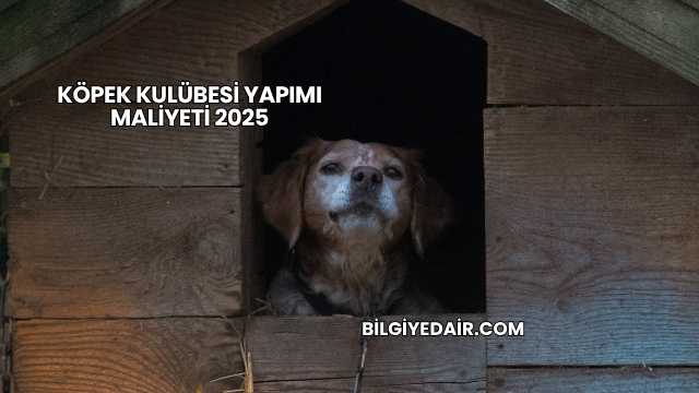 Köpek Kulübesi Yapımı Maliyeti 2025
