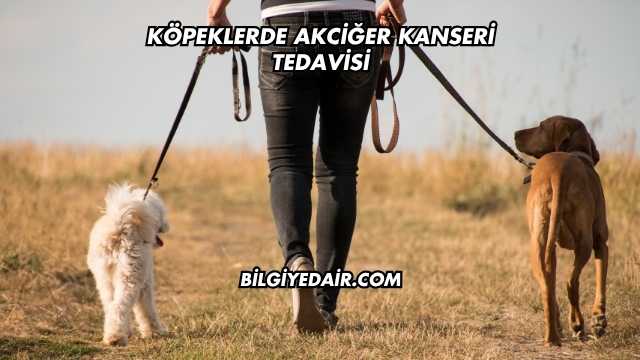 Köpeklerde Akciğer Kanseri Tedavisi