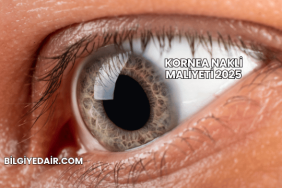 Kornea Nakli Maliyeti 2025