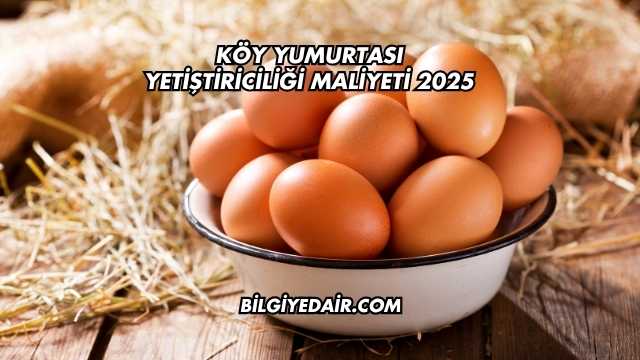 Köy Yumurtası Yetiştiriciliği Maliyeti 2025