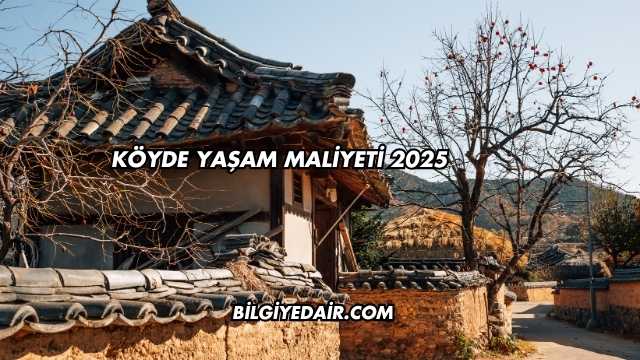 Köyde Yaşam Maliyeti 2025