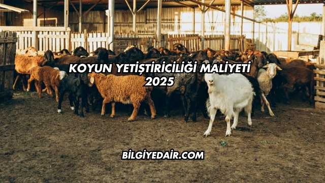 Koyun Yetiştiriciliği Maliyeti 2025