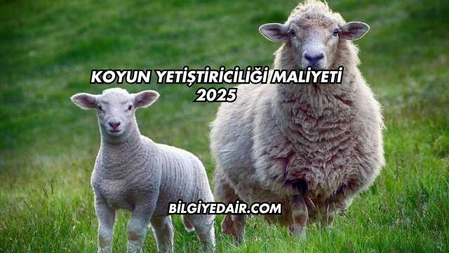 Koyun Yetiştiriciliği Maliyeti 2025