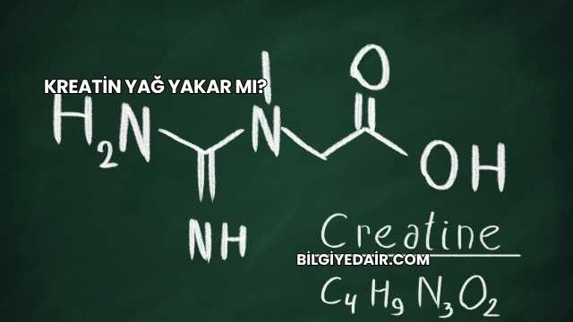 Kreatin Yağ Yakar mı?