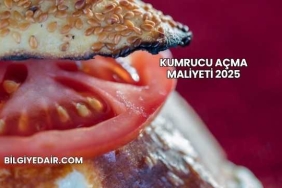 Kumrucu Açma Maliyeti 2025