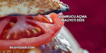 Kumrucu Açma Maliyeti 2025