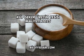 Küp Şeker Üretim Tesisi Maliyeti 2025