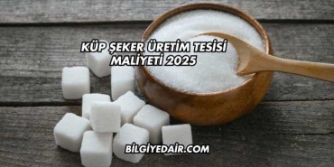 Küp Şeker Üretim Tesisi Maliyeti 2025