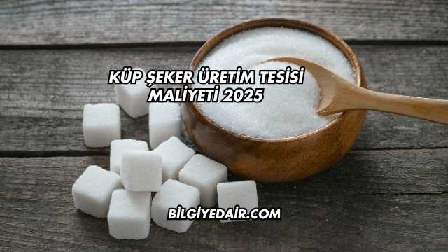 Küp Şeker Üretim Tesisi Maliyeti 2025