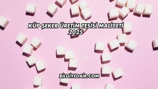 Küp Şeker Üretim Tesisi Maliyeti 2025