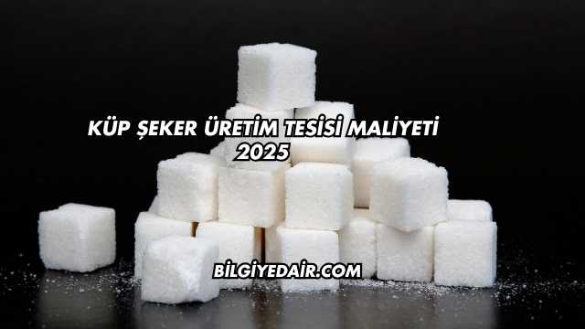 Küp Şeker Üretim Tesisi Maliyeti 2025