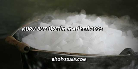 Kuru Buz Üretim Maliyeti 2025